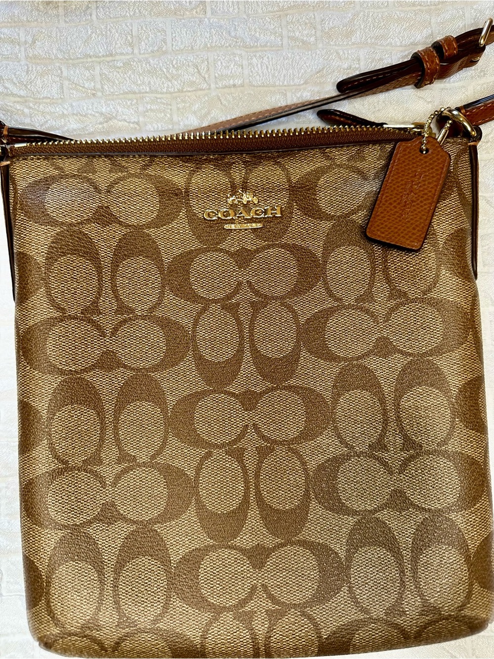 Coach Signature North-South Crossbody Bag - Picture 6 of 12